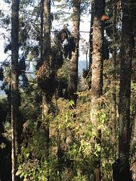 Pin En Lugares Reales