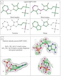 The worldwide pdb (wwpdb) organization manages the pdb archive and ensures that the pdb is freely and publicly. The Protein Data Bank Archive Springerlink