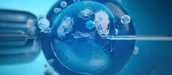 De ce să alegeți grecia pentru tratament de fiv. Fiv In Ploiesti Cat Dureaza Procedura Si Cum Afli Daca Ai Avut Succes