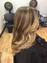 Women S Hairstyle Images Balayage Hair Blonde Long Light Brown Hair Hair Styles