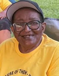 Obituary for Sarah Ann Barnes