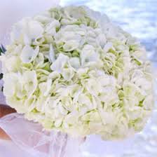 Couture wedding white hydrangea strapless wedding dress wedding styles wedding dresses wedding green wedding best friend wedding bridal. White Hydrangea Bridal Bouquet Off 71 Buy