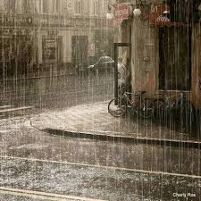 Hoy Llueve Hoy Llueve Gotas Suaves Relajadas Alimentando La Tierra De Tantos Dias De Sed Abandonada Fotografia De Lluvia Amar La Lluvia Lluvia De Otono