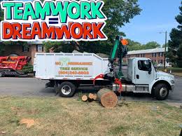 Check spelling or type a new query. Candido Hernandez Owner Mc Hernandez Tree Service Linkedin