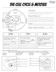 Cell Cycle Mitosis Notes And Microscope Lab Biology Lessons Science Cells Cell Cycle