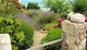Beware, you should avoid cocoa bean mulch. Grass Lawn Alternatives For An Eco Friendly Backyard Gilmour