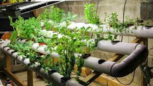Memanfaatkan lahan sempit di samping rumah hidroponik. Trik Berkebun Di Lahan Sempit Dengan Hasil Selangit Star Farm International