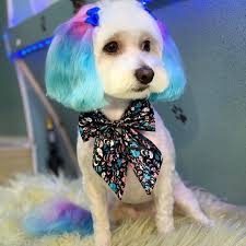 Opawz Semi Permanent Dye In 2020 Dyed Hair Semi Permanent Hair Dye Semi Permanent