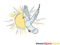 A great collection of gif downloads for a website or application. 64 Pentecoste Clipart Immagini Grafica Gratis Gif Png Jpg