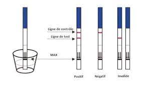 Test De Grossesse Positif Ou Négatif: Précautions À Prendre Avant D'en Faire