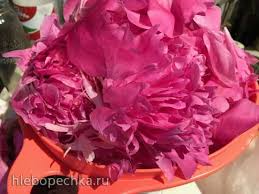 как приготовить настойку из цветков пиона в домашних условиях Varene Iz Lepestkov Piona Recept S Foto Na Hlebopechka Ru