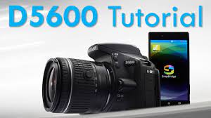 Nikon D5600 Overview Tutorial Dslr Photography Tips Camera Nikon Nikon D5600