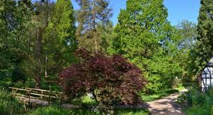 Dezember bleibt der botanische garten. Alter Botanischer Garten Botanischer Garten Kiel