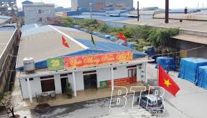 Mikado và hành trình 21 năm vươn ra biển lớn - Báo Thái Bình điện tử