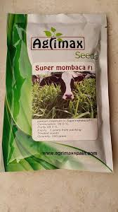 See all videos on attvideo. Panicum Mombasa Ø§Ù„Ø§Ø³Ù… Ø§Ù„Ø¹Ù„Ù…ÙŠ Super Ø³ÙˆÙ‚ Ø§Ø¹Ù„Ø§Ù ÙÙŠ Ù„ÙŠØ¨ÙŠØ§ ÙÙŠØ³Ø¨ÙˆÙƒ
