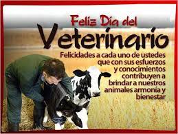 Todas las dudas y consultas de los dueños de mascotas y las respuestas de los veterinarios. Desde La Familia Fmv Felicitamos A Todos Los Medicos Veterinarios En Su Dia Fundacion Mision De Vida