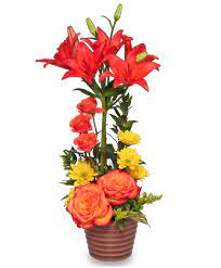 We did not find results for: Sky S The Limit Fresh Flowers In Birmingham Al Sandy S Flowers