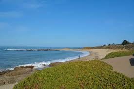Gazos creek beach — año nuevo state reserve. Bean Hollow State Beach Roadside Secrets
