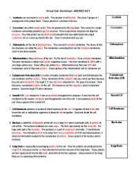 Animal cell and plant cell exercise. Plant And Animal Cells Worksheet Key Docsity