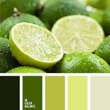 Los nombres alternativos para este color incluyen amarillo verdoso , lima limón , verde lima o lima amarga. Verde Lima Y Amarillo Claro In Color Balance