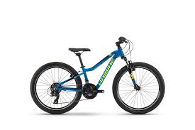 Ook geschikt voor kinderen en kinderfeestjes. Kinder Mountainbikes Fur Nachwuchssportler Haibike Mtb