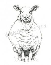 Pin By Mrsnikulina On Art Sheep Drawing Animal Paintings Sheep Paintings