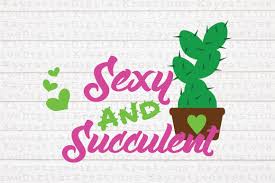 Free hugs project, chula vista, california. Sexy And Succulent Cactus Graphic By Kayrativedigitalkreations Creative Fabrica