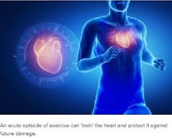How A Single Bout Of Exercise Instantly Protects The Heart Enlarged Heart Improve Heart Health Coronary Artery Disease