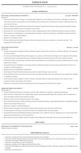 risk adjustment resume sample mintresume