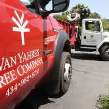 Discover hotels in charlottesville, things to do & where to stay. Tree Services In Charlottesville Yelp