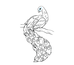 With smooth lines, mark the feathers. How To Draw A Peacock In A Few Easy Steps Easy Drawing Guides