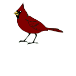 Free Free 287 Free Cardinal Svg Cut File SVG PNG EPS DXF File