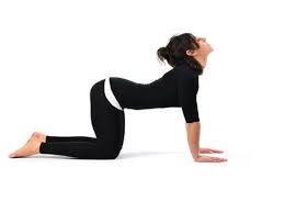 Pin On Exercise