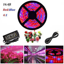 We did not find results for: Top 10 Best Led Hydroponic Grow Lights Bulbs Strips A Listly List
