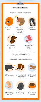 Types Of Seizures In Dogs Canna Pet