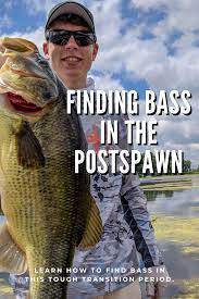 Pin On Bass Fishing Strategies