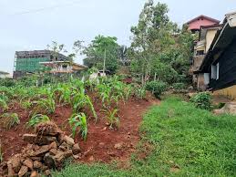 Terrain de 1000m2 du quartier Bastos à vendre!