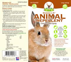 Bobbex 48 Oz. Bobbex-R Animal Repellent E-Z Pump Ready-To-Use Spray B550190  - The Home Depot