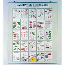 Scichem Affordable Lab Supplies For Schools Fe