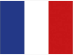 Dit is de officiële vlag van frankrijk. Vlag Frankrijk 90 X 150 Cm Megatip Be