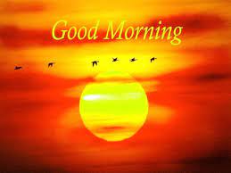 He/she will feel blessed after receiving these kinds of good morning wishes from your side. Good Morning Motivational Quotes Good Morning Images With Inspirational Quotes To Start Your Sunday On A Positive Note Trending Viral News