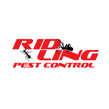 Our take action plan covers exterior treatments every 10 weeks during peak pest season. Ridling Pest Control Home Facebook