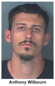 Media Release Spring Hill Man Arrested for Traffic Infractions and  Possession of Narcotics