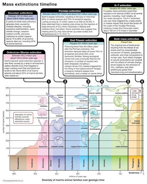 Extinction | Definition & Examples | Britannica
