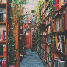 Montagnes And Vorfreude Bookstore Book Lovers Book Aesthetic