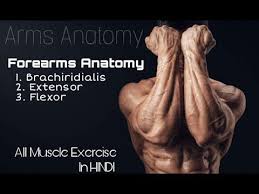 And that you got at least a few new ideas on how to challenge and develop your forearms. How To Get Bigger Forearms And Wrists Forearms Anatomy Hindi Youtube