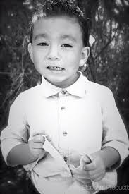 Wild Elephant Production Photography & Videography