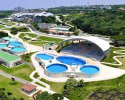 海洋博公園の画像