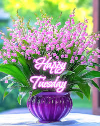 🌹Happy Tuesday🌹Beautiful Flowers🥀😊 #83shubh
