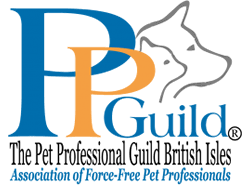 Guild membership shows your clients and colleagues you are a true. Lets Talk Dog Dog Behaviour And Training Services Lichfield Burntwood Cannock Staffordshire About Us